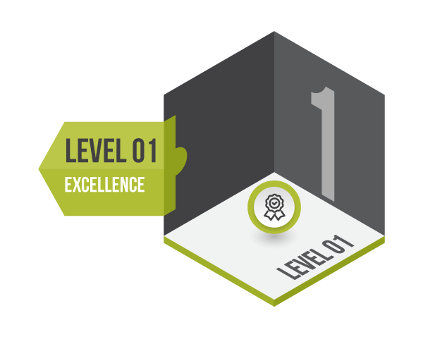 Level 1 - Excellence