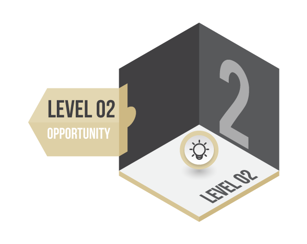 Level 2 - Opportunity