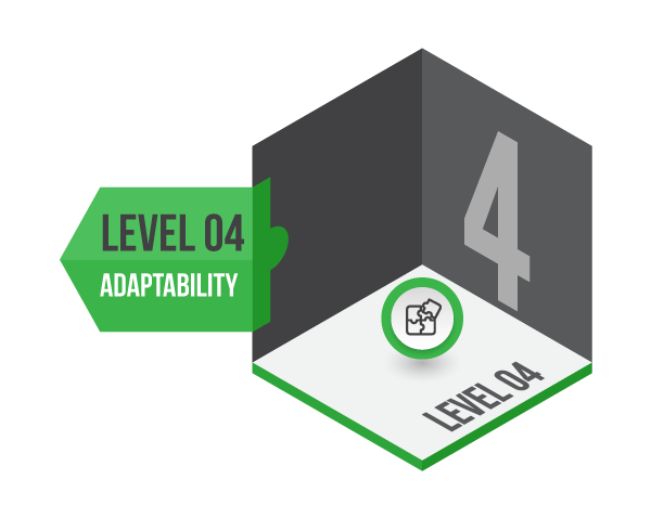 Level 4 - Adaptability