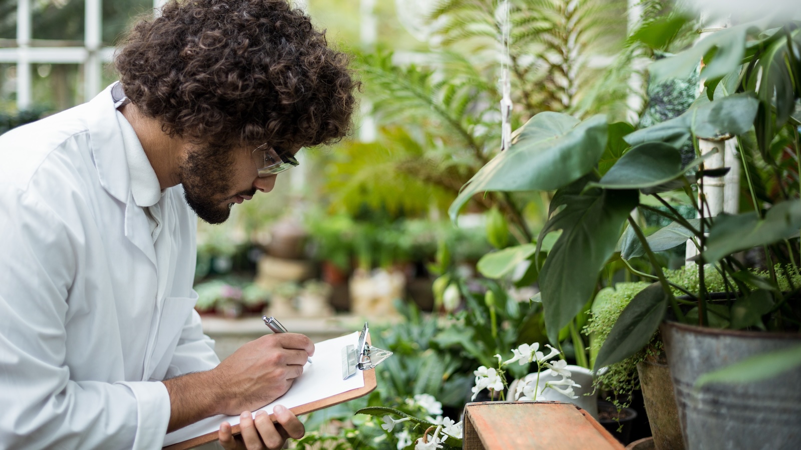 Plant Science student